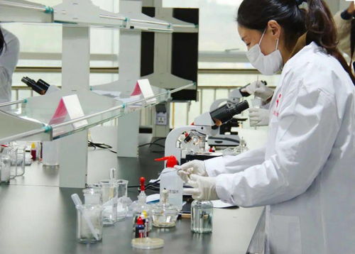 技能比武显身手，舌尖安全共守护——平阴县成功举办第四届职业技能大赛农产品食品检验员竞赛