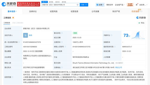 蚂蚁数科在武汉成立信息技术公司，深化技术咨询布局